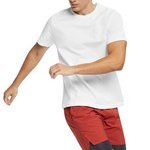 koszulka tenisowa męska NIKE COURT COTTON TEE / BV5809-101