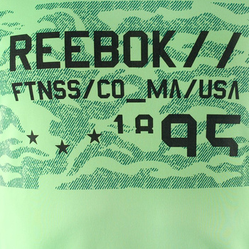koszulka sportowa męska REEBOK WORKOUT READY GRAPHIC TECH TOP / AJ2906