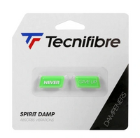SPIRIT DAMP