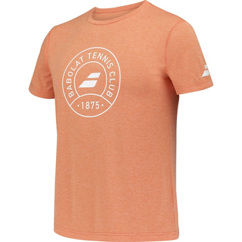 Koszulka tenisowa męska BABOLAT EXERCISE GRAPHIC TEE / 4MTF017 6020