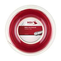 MSV CO.-FOCUS