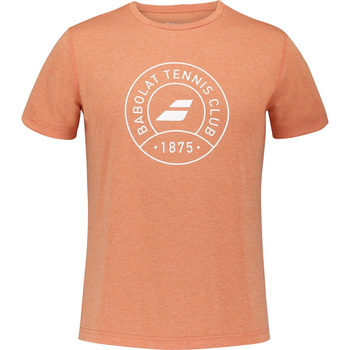 Koszulka tenisowa męska BABOLAT EXERCISE GRAPHIC TEE / 4MTF017 6020
